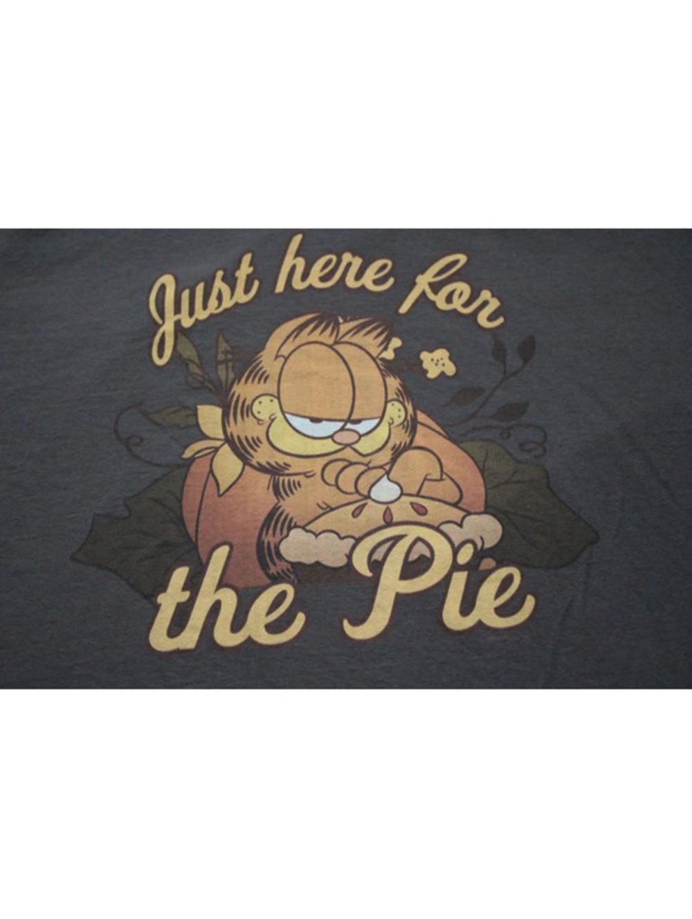 Garfield Thanksgiving T-Shirt Just Here For the Pie Nickelodeon XL